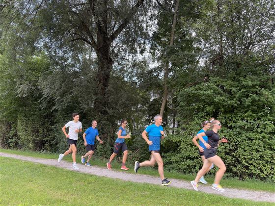 Eine Gruppe von sechs Personen joggt auf einem Kiesweg entlang dichter Bäume. Alle Teilnehmer tragen Sportkleidung und wirken aktiv und energiegeladen.