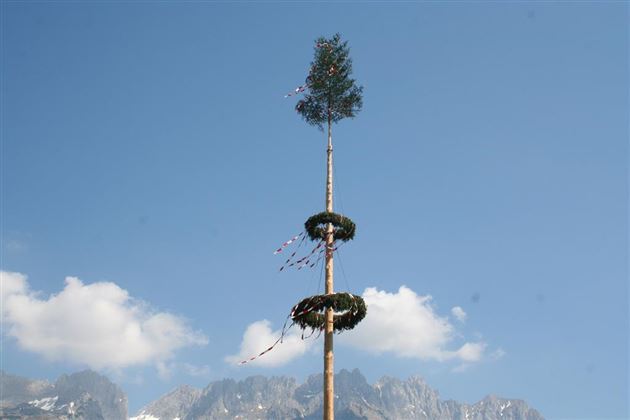 Maibaum