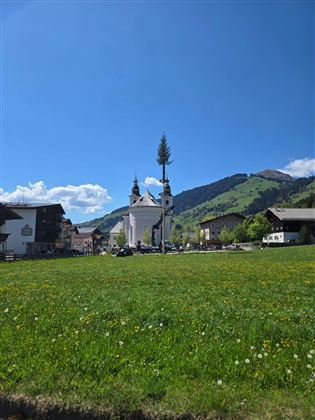 Maibaum passn