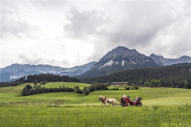 Mit der Kutsche durch die schöne Landschaft