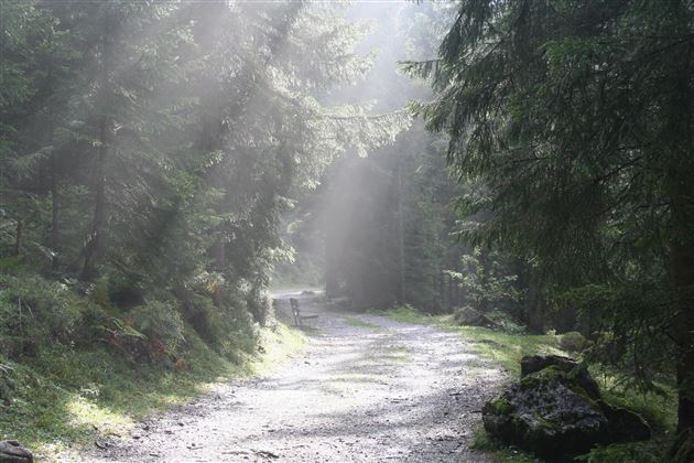 Mystik am Wilden Kaiser