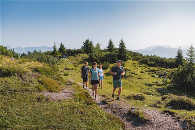 naturbelassene Wanderwege