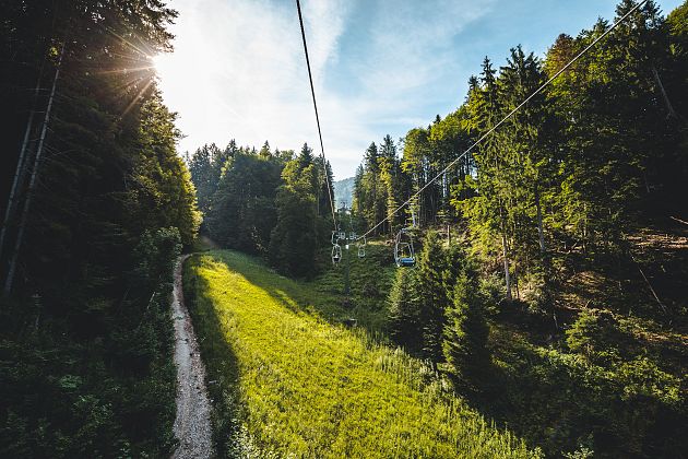 naturerlebnis_kaisergebirge_themenfuehrungen_copyright_mathaeus_gartner (30).jpg