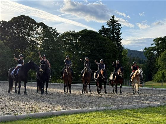 Six-rider group on horses in a riding arena. The riders raise their hands and enjoy the sunny day.
