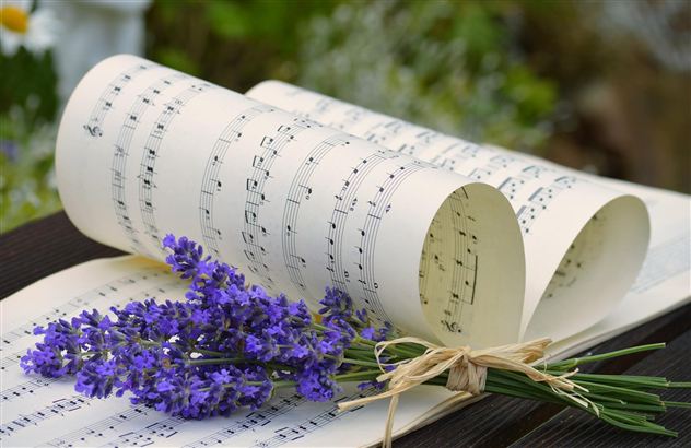En rulle med notesider ligger på et bord og er omkranset af lavendel. Kombinationen af musik og blomster skaber en rolig atmosfære.