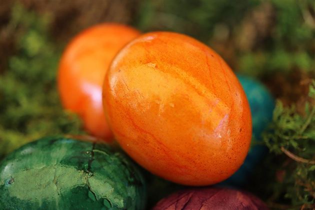 Colorful Easter eggs in various colors lie on green moss. The eggs are painted orange, green, and purple.