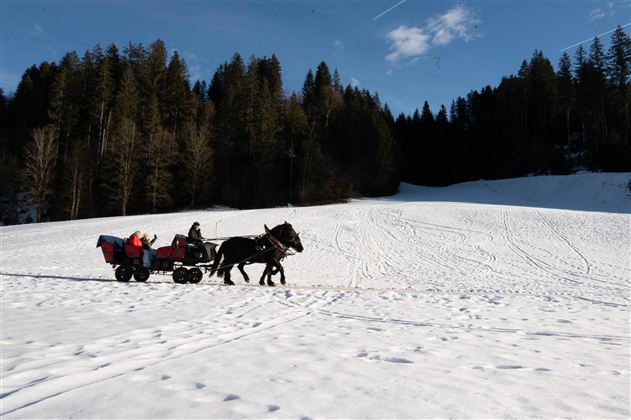 Pferdeschlittenfahrt @Region Hohe Salve Larissa We
