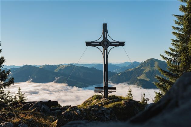 A narrow gravel path winds through an autumn forest. Colorful leaves and tall trees surround the landscape, while mountains can be seen in the background.