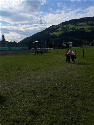 Ponyreiten
