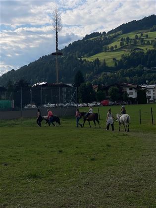 Ponyreiten DO