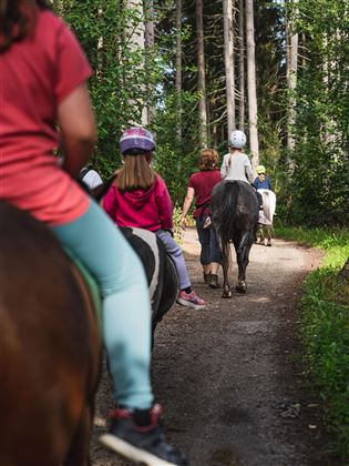 Reiten