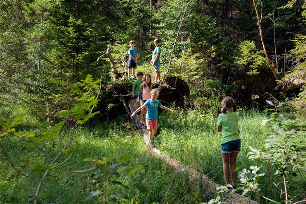 Eine Gruppe von Kindern spielt im Wald und balanciert auf einem Baumstamm. Die Umgebung ist grün und von Bäumen umgeben.