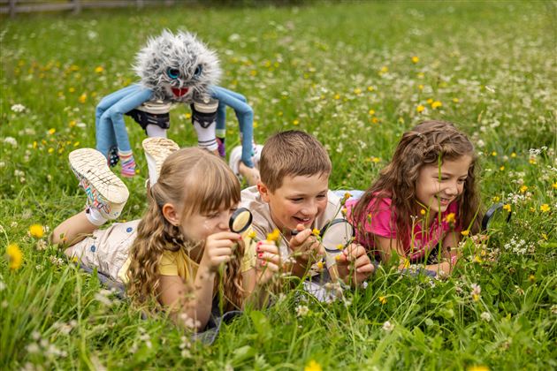 Four children are lying on a meadow and looking at the grass with a magnifying glass. A colorful, creatively designed creature is observing them from behind.