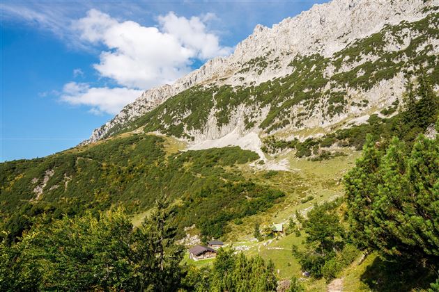 Scheffau_Kaiser-Hochalm_Wilder-Kaiser-Steig
