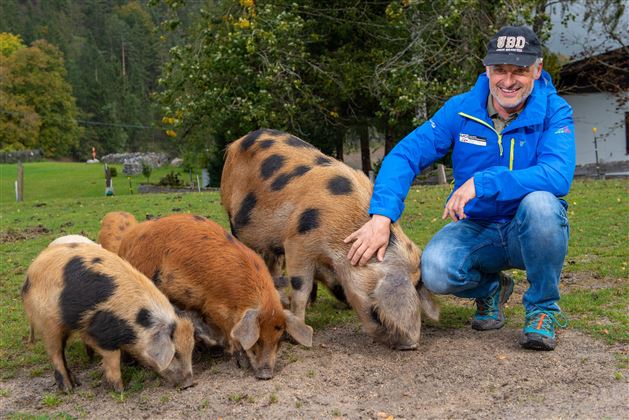 Scheffau_Mark Pirkner_Seespitzhof_Alpenschweine