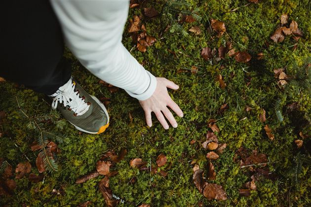 A hand touches the green moss on the ground while a foot in a sneaker stands next to it. Colorful leaves are scattered on the earth.