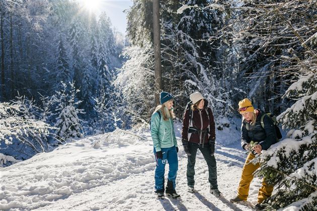 Scheffau_Waldbaden_Winter_3