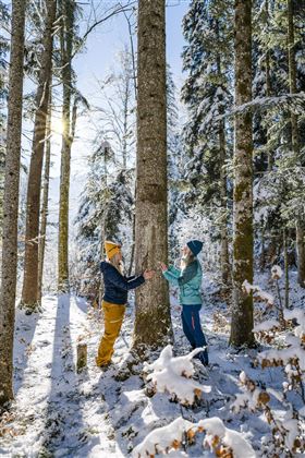 Scheffau_Waldbaden_Winter_4