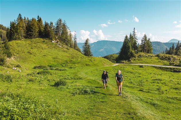 Zwei Wanderer gehen auf einem grünen Weg durch eine malerische Landschaft. Im Hintergrund sind Bäume und Berge zu sehen.