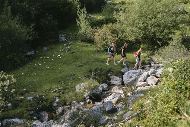 Scheffau_Wandern auf versteckten Pfaden