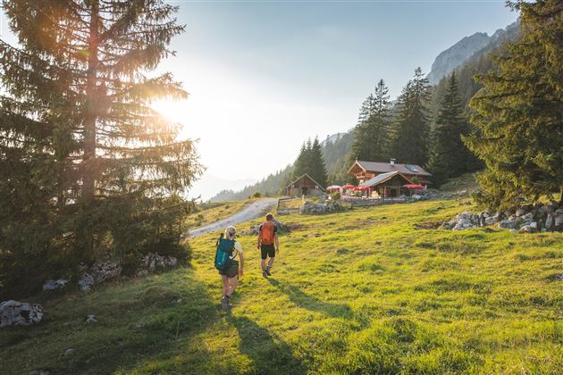 Scheffau_Wandern_Steiner-Hochalm