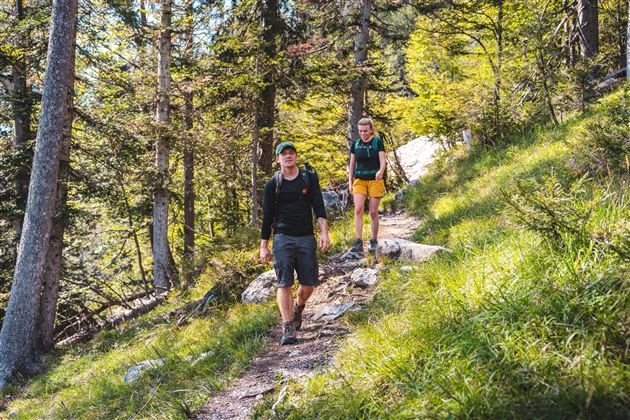 Zwei Wanderer gehen auf einem Pfad durch einen Wald. Es ist sonnig und die Natur ist grün und lebendig.
