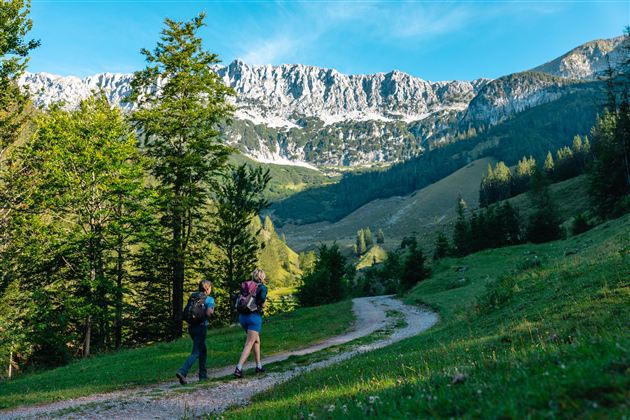 A picturesque mountain landscape with green meadows and tall trees. In the foreground, some rustic cabins are visible.