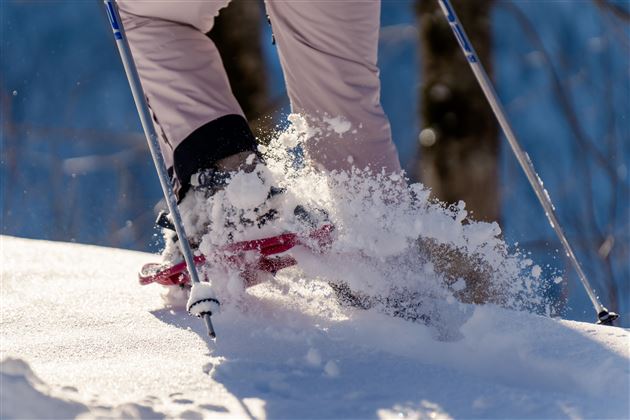 Schneeschuhwander Schuhe