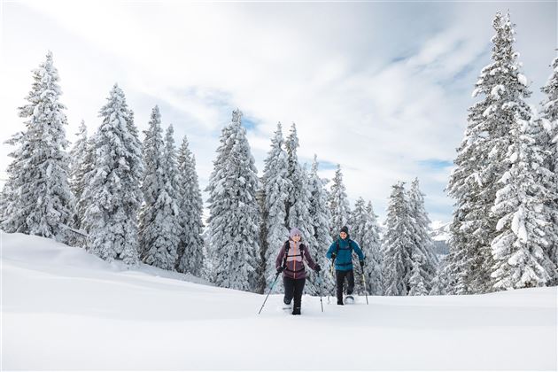 Schneeschuhwandern