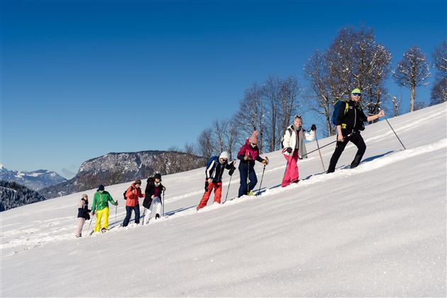 Eine Gruppe von Menschen wandert im Schnee auf einem Hügel. Der Himmel ist klar und blau, und die Landschaft ist winterlich.