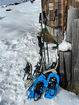 Schneeschuhwandern mit Sonja