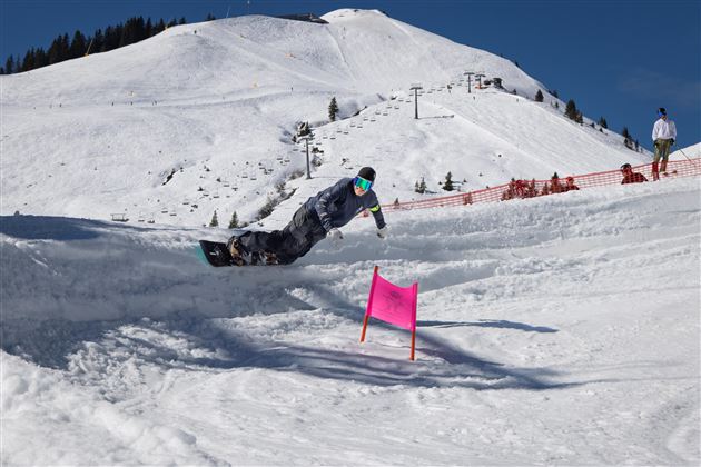 Shred Down 1