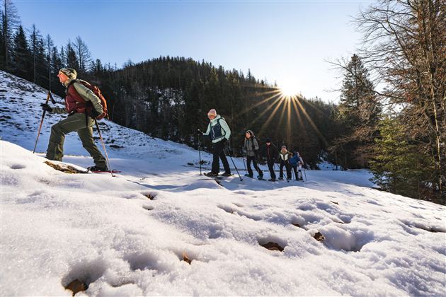 Eine Gruppe von Wanderern bewegt sich durch schneebedecktes Gelände. Die Sonne scheint hinter den Bäumen und verleiht der Szene eine warme Atmosphäre.