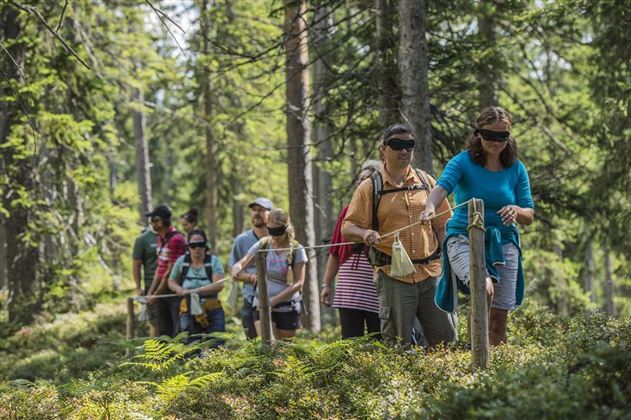 Eine Gruppe von Menschen wandert blind in einem Wald. Sie folgen einem Seil und sind von Natur umgeben.