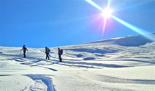 Drei Personen wandern auf einem verschneiten Gelände. Der Himmel ist klar und die Sonne strahlt hell.