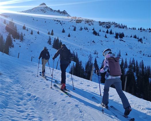Eine Gruppe von Skifahrern wandert einen schneebedeckten Hang hinauf. Im Hintergrund sind Bäume und ein hoher Gipfel sichtbar.