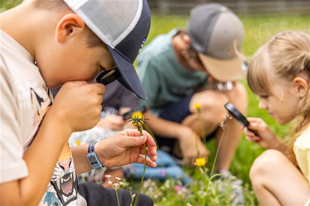 Eine Gruppe von Kindern untersucht Blumen auf einer Wiese. Sie nutzen Lupe und andere Hilfsmittel, um die Natur zu erforschen.