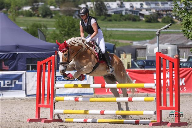 A rider jumps with a horse over obstacles. In the background, a green landscape and event equipment are visible.