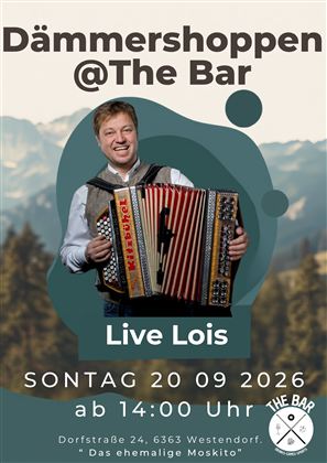 the bar dämmershoppen