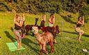 Alapaka Yoga