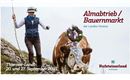ALmabtrieb