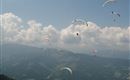 Alpenrosencup