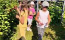 Kinder pflücken Beeren in einem Garten. Die Sonne scheint und sie haben Spaß bei der Ernte.