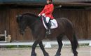 A rider in a red jacket is sitting on a black horse. The scene takes place in a dressage area with wooden buildings in the background.