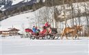 Eine Pferdeschlittenfahrt durch verschneite Landschaft. Im Hintergrund sind Bäume und ein traditionelles Chalet zu sehen.