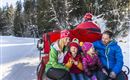 Eine Familie sitzt in einer Pferdeschlittenfahrt im Schnee. Umgeben von verschneiten Bäumen genießen sie die Winterlandschaft.