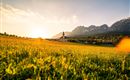 A picturesque landscape with a meadow full of flowers and majestic mountains in the background. The sun sets behind the church, creating a warm atmosphere.