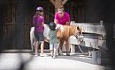 Highres Sommershootings 22_Tag 3-66.JPG