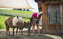 Highres Sommershootings 22_Tag 3-69.JPG