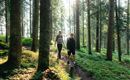 Zwei Personen wandern durch einen sonnigen Wald. Die Bäume und das grüne Unterholz sorgen für eine erfrischende Atmosphäre.
